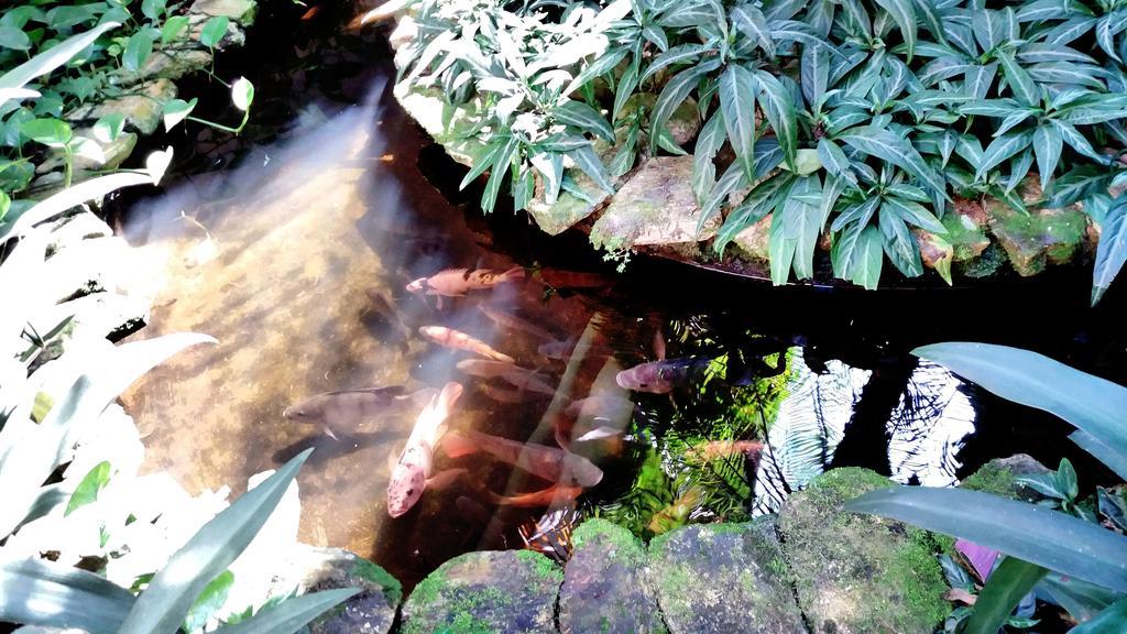Pousada Villa Harmonia Araquari Exteriér fotografie